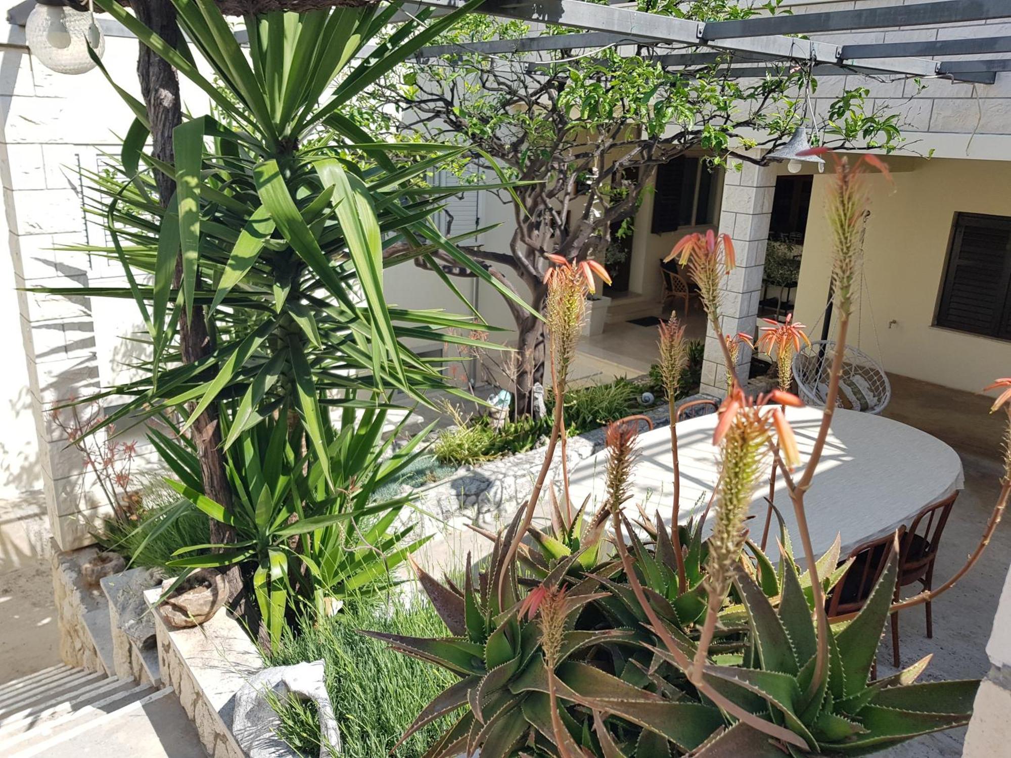Bed & Breakfast Huljic Hvar Town Dış mekan fotoğraf